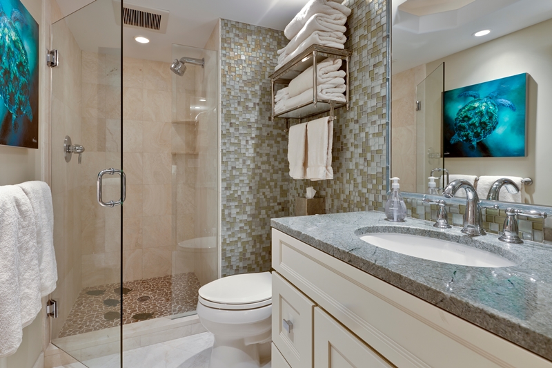 Guest Bath with Tile Shower